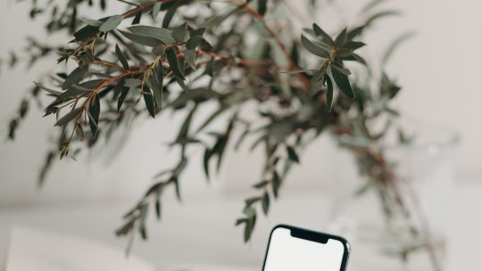 Bliv klogere på dit mobilabonnement