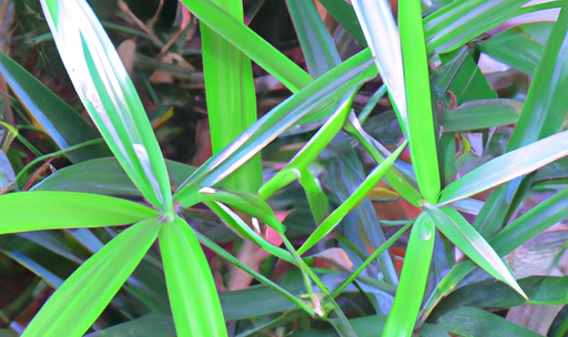 CBD olie til katte – En omfattende guide