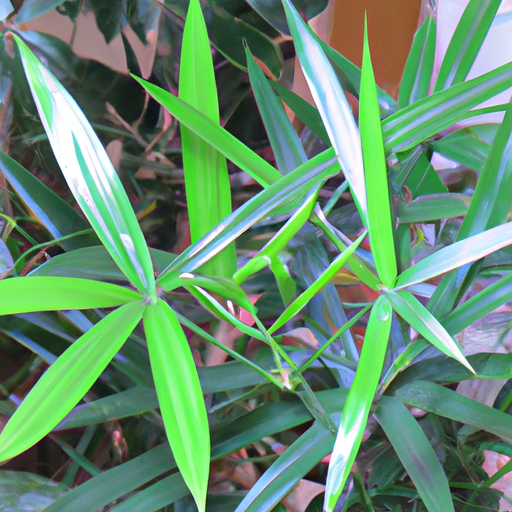 CBD olie til katte – En omfattende guide